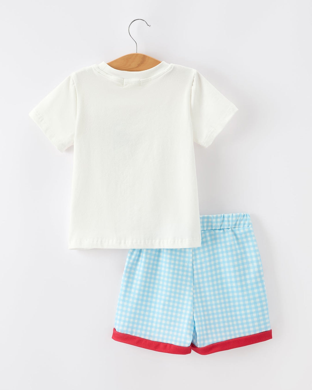 White t-shirt and blue checkered shorts on a hanger against a white background