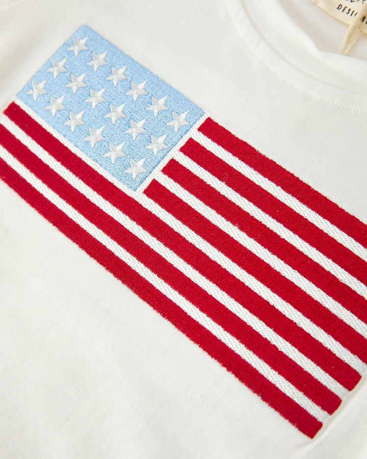 American flag design on a white background