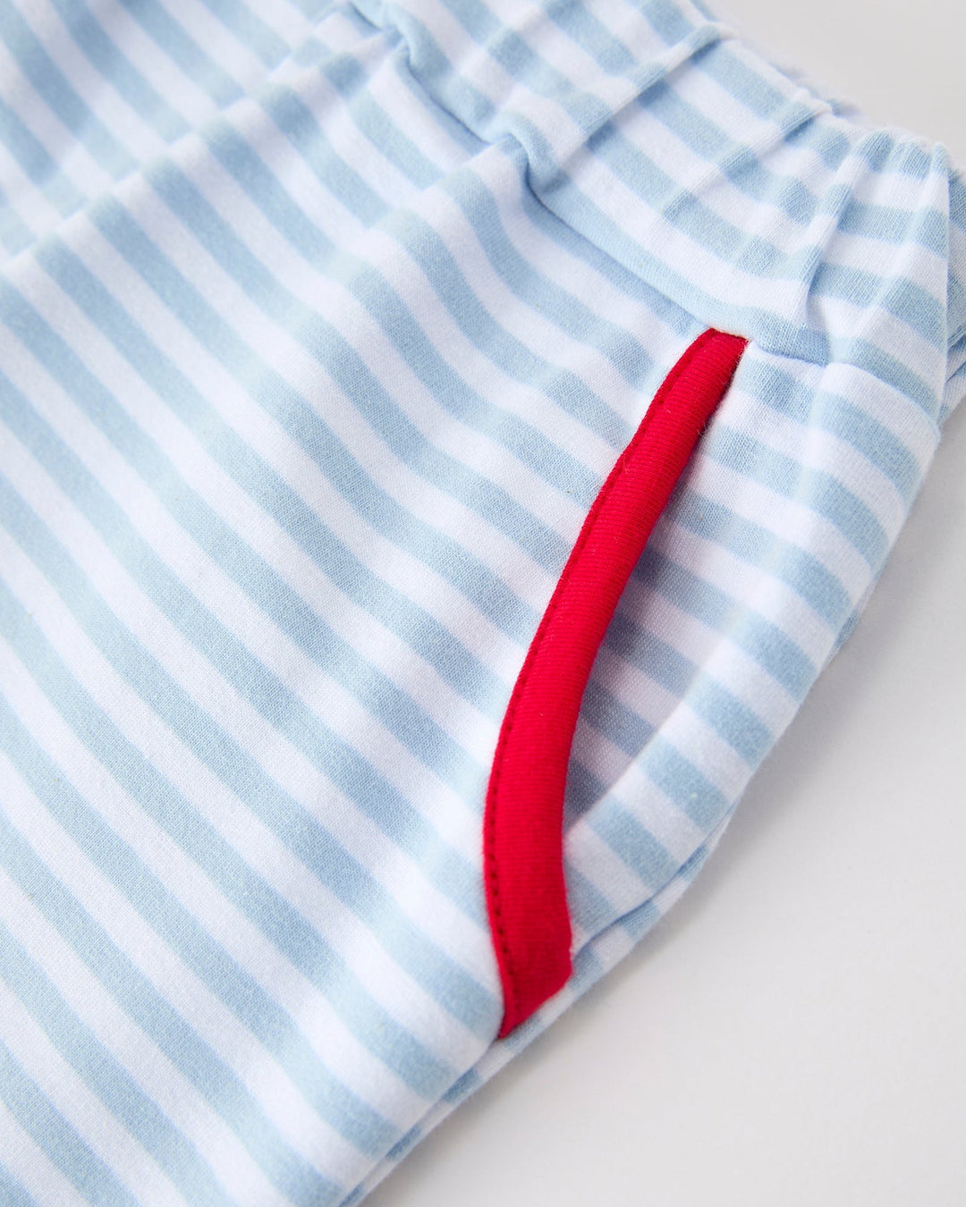 Close-up of a blue and white striped fabric with a red border on a light gray background