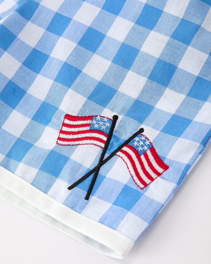 Blue and white checkered fabric with embroidered American flags on a white background