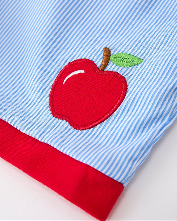 Blue and white striped fabric with a red apple applique on a white background
