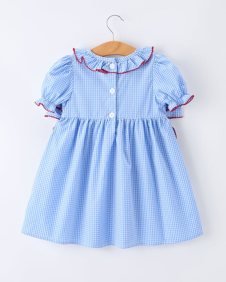 Blue checkered dress with red trim on a hanger against a white background