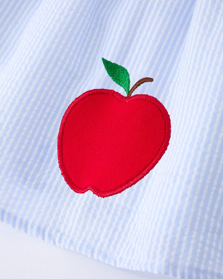 Red apple patch on a blue checkered shirt