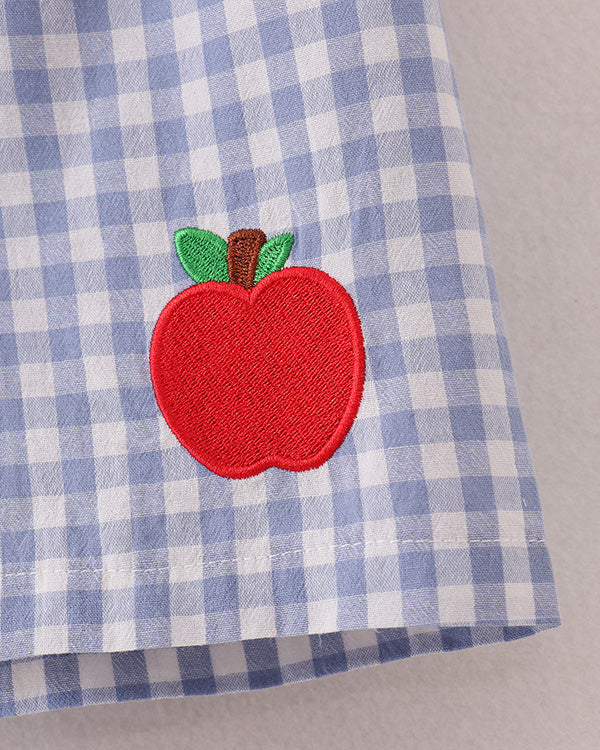 Red apple patch on a blue and white checkered fabric