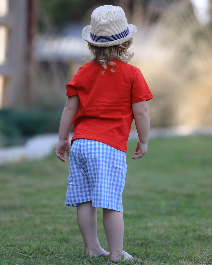 Child wearing a red shirt and blue checkered shorts standing on grass with a blurred background