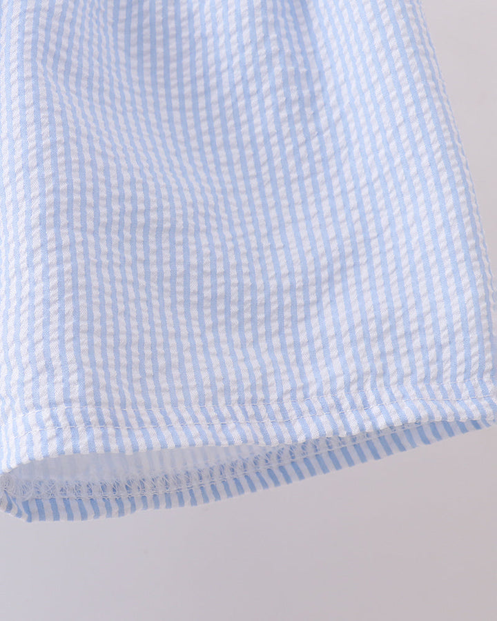 Close-up of a blue and white checkered fabric on a light gray background