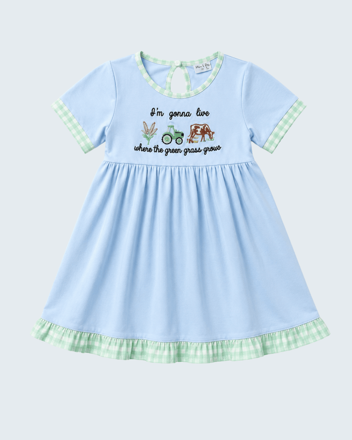 Light blue dress with green checkered trim on a white background