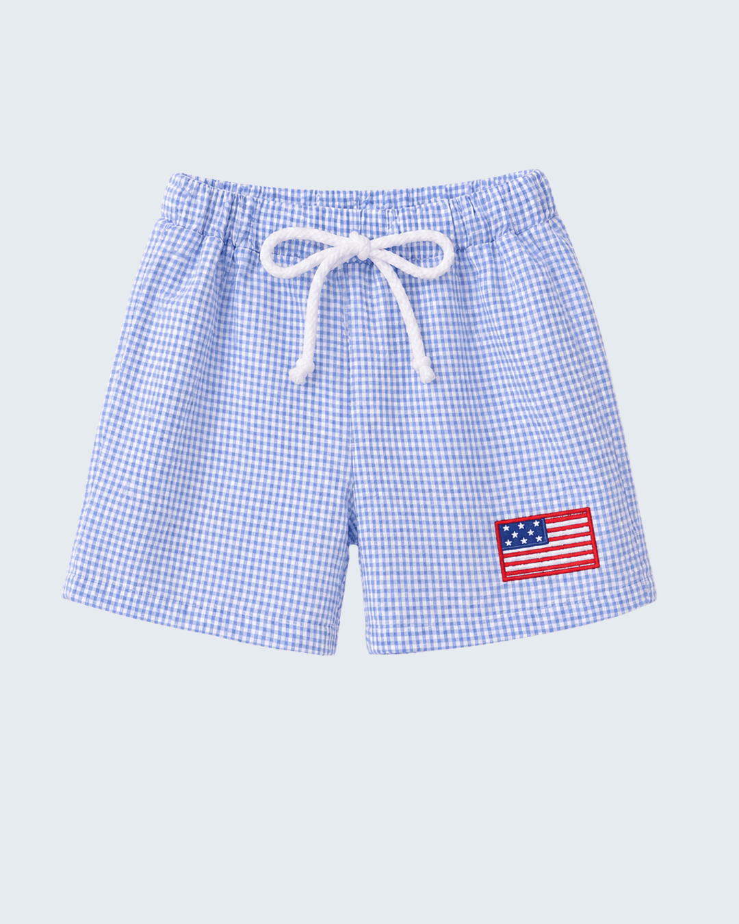 Blue Flag Embroidered Gingham Shorts
