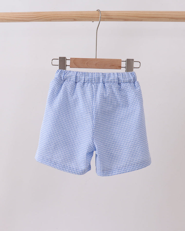 Blue checkered shorts hanging on a wooden hanger against a white background