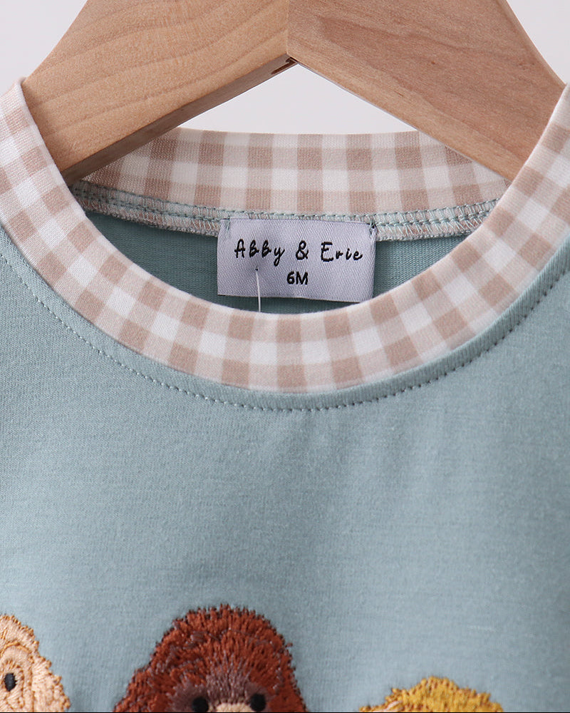 Close up of shirt on hanger