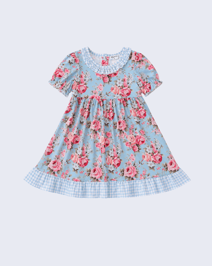 A light blue short-sleeve baby dress with a pink rose floral print, featuring a ruffled collar, smocked waist, and a blue-and-white gingham ruffled hem, shown on a light gray background.