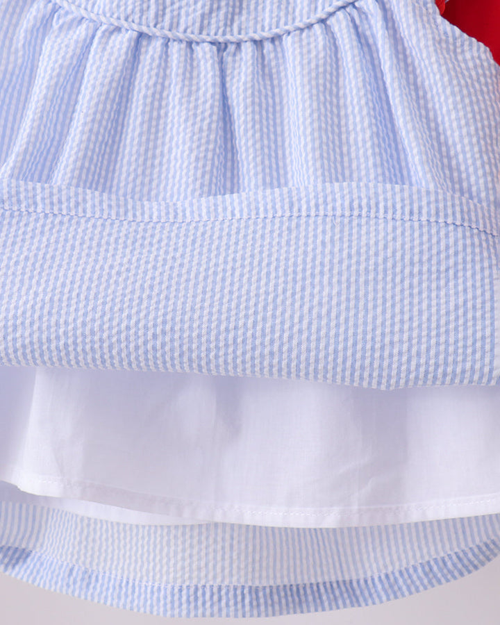 Close-up of a blue checkered dress with white trim on a light gray background