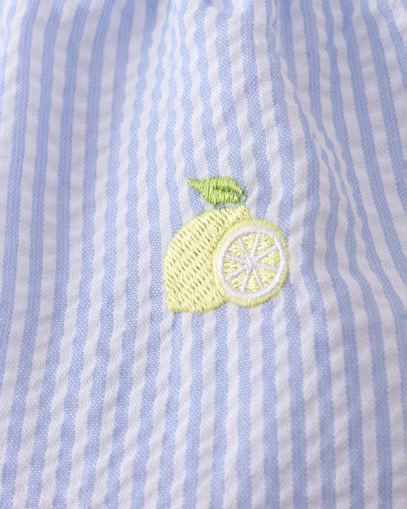 Blue and white striped fabric with a embroidered lemon design