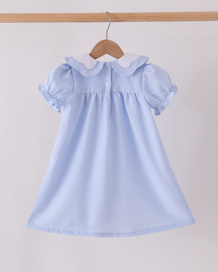 Light blue baby dress with puff sleeves and ruffled yoke