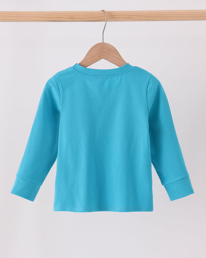 Turquoise long-sleeve top with plain back