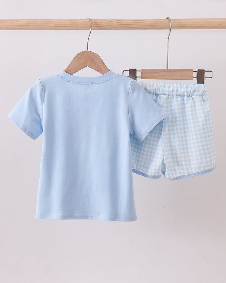 Blue and white checkered fabric on a light gray background