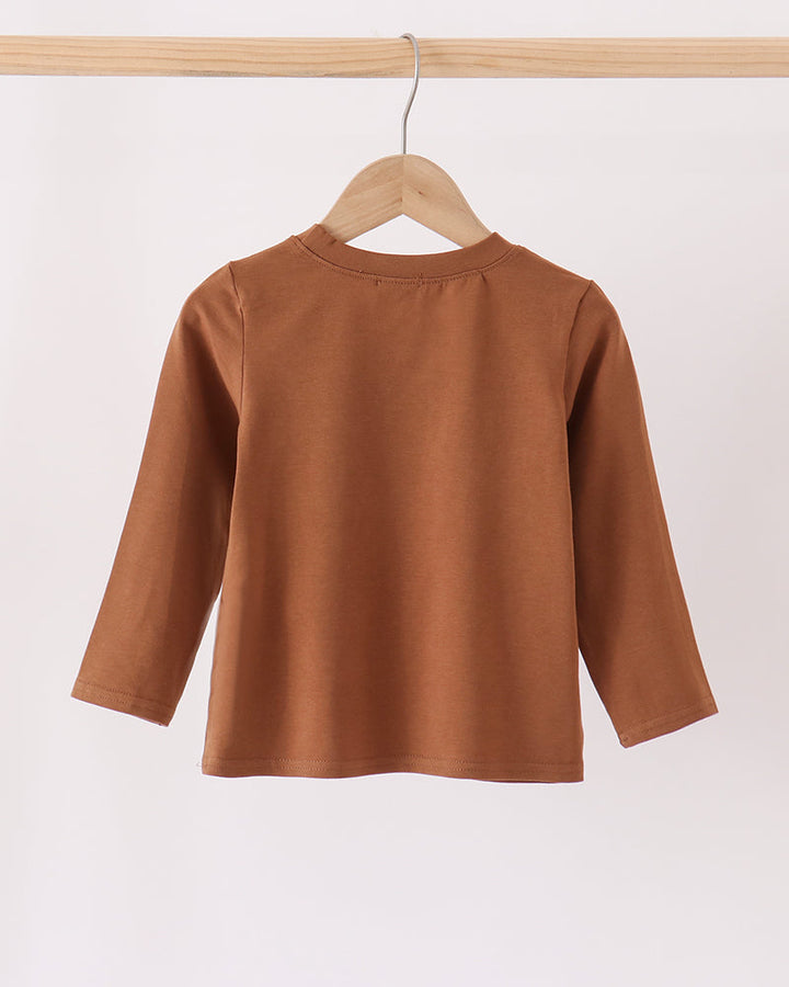 Brown long-sleeve crewneck top on hanger, back view.