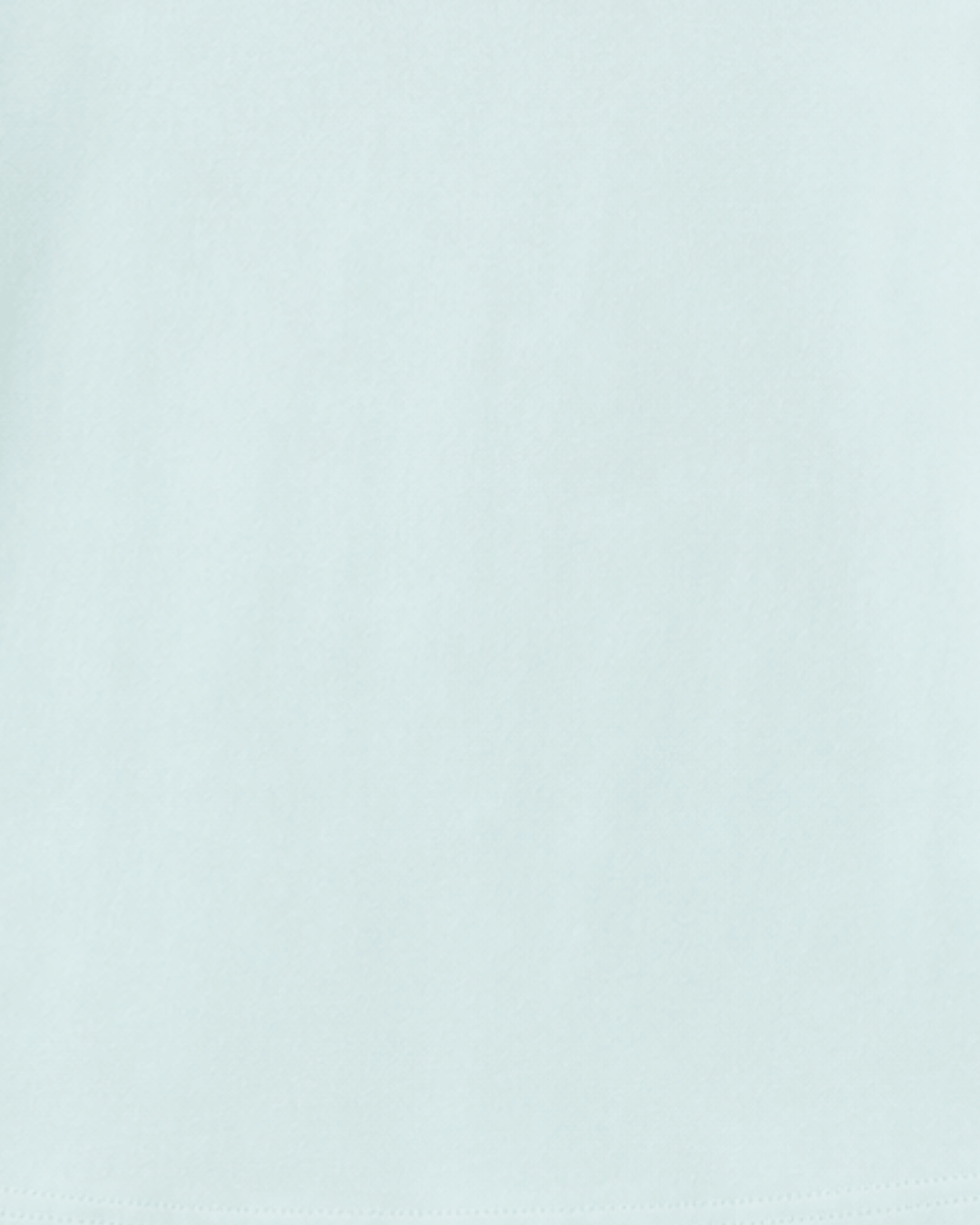 Solid light gray color swatch
