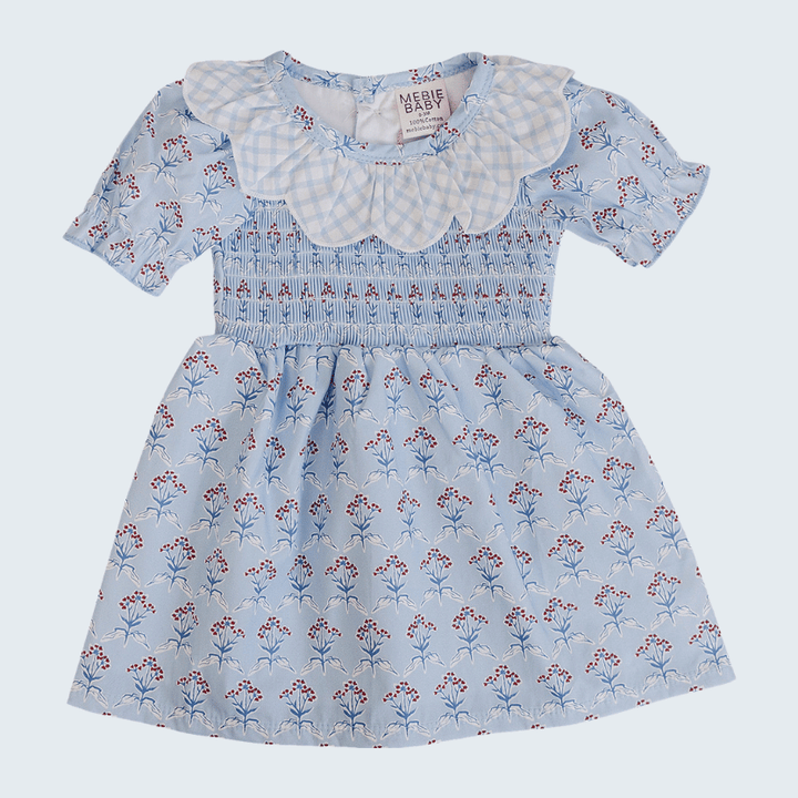 Blue Meadow Dress