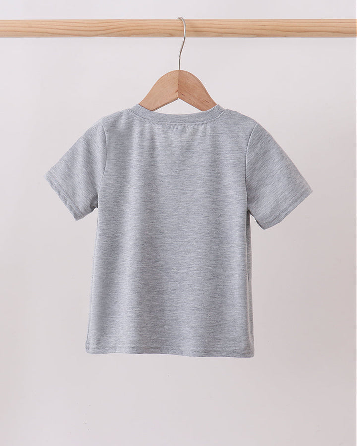 Gray t-shirt on a wooden hanger against a light background