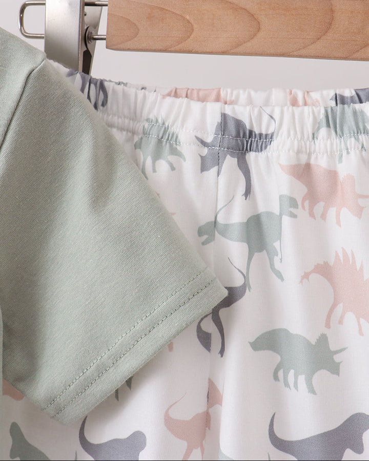 Boys dinosaur shorts set
