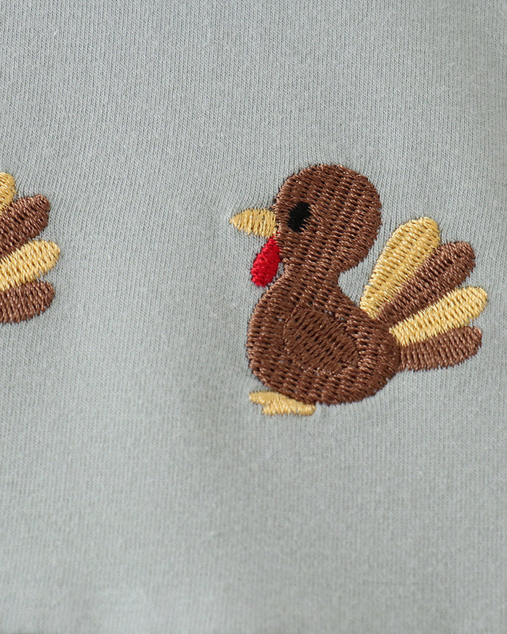 Embroidered turkey patch with multicolor wings on mint green fabric