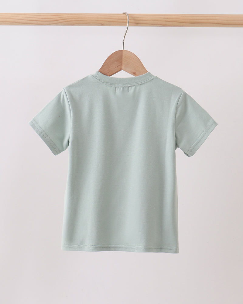 Light green t-shirt on a wooden hanger against a white background