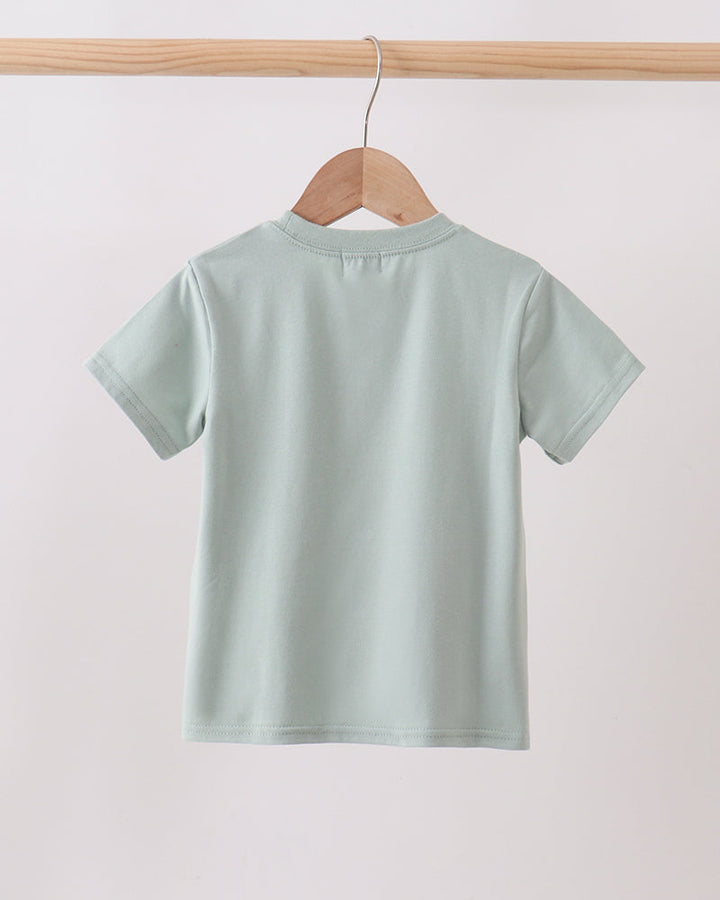Light green t-shirt on a wooden hanger against a white background
