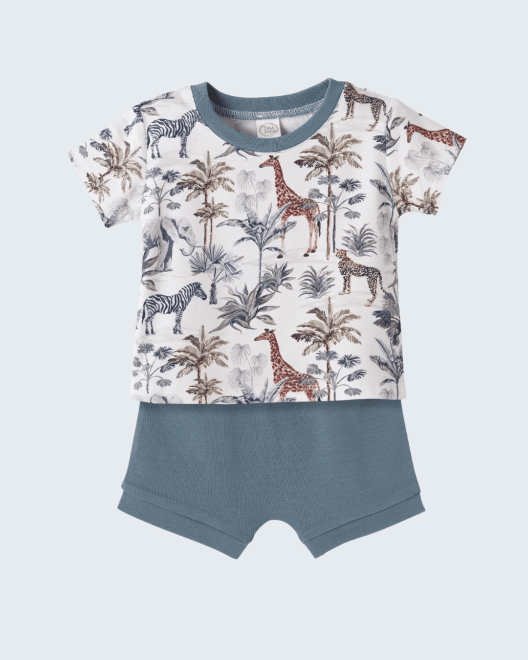 Boys outfit with giraffe and zebra