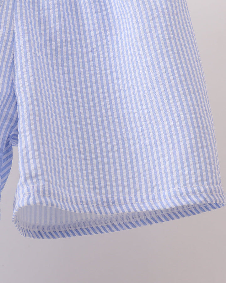 Close-up of a blue and white checkered shirt on a light gray background
