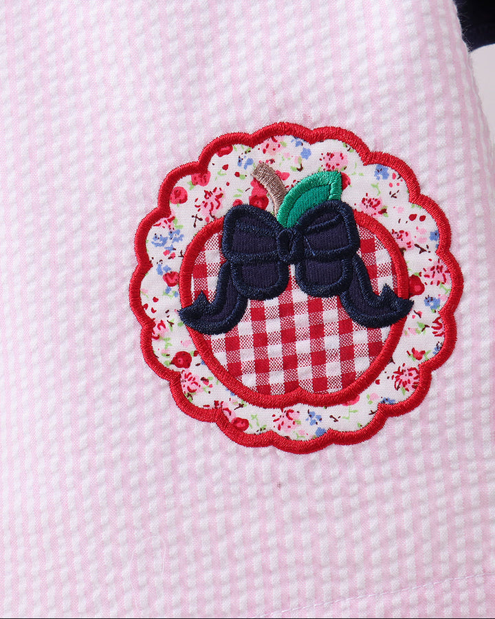 Close up of embroidery on pink gingham fabric