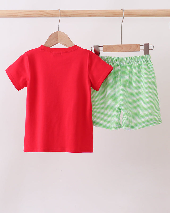 Red t-shirt and green checkered shorts hanging on a wooden rod against a white background