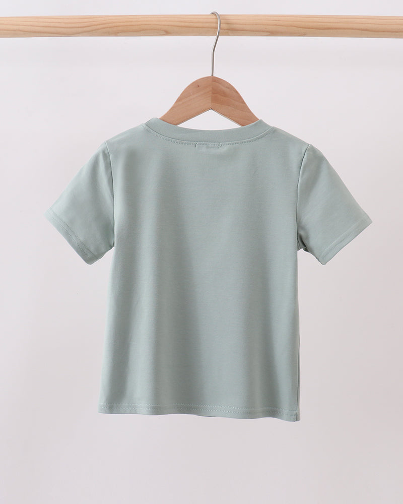 Sage green short-sleeve top with crew neck and plain back