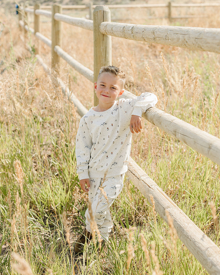 Light gray ski-print sweatshirt and joggers set on child, relaxed standing pose.
