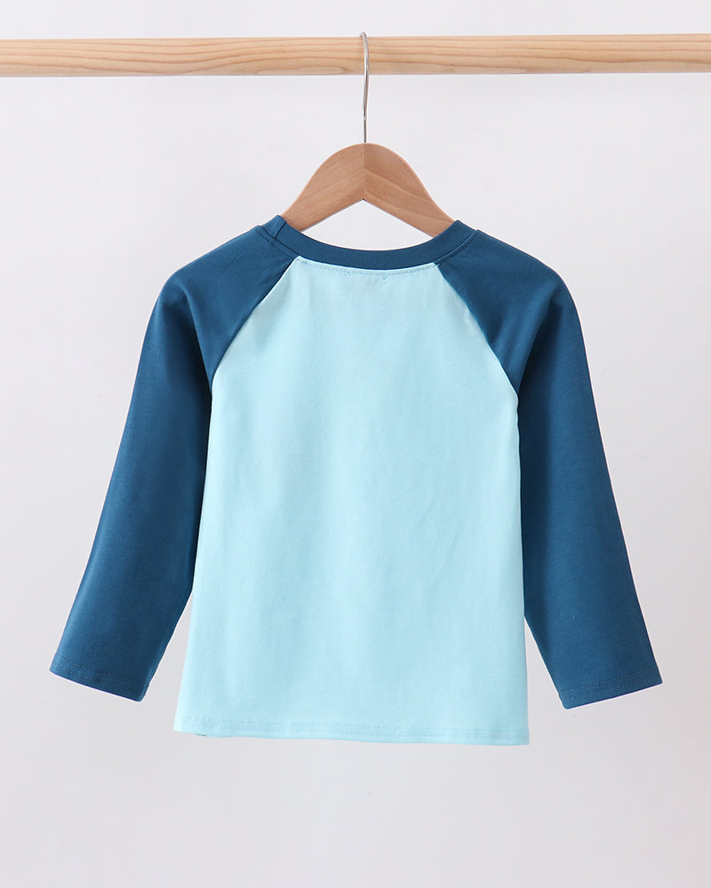 Teal Apple Embroidered Top on wooden hanger