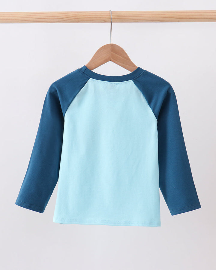 Teal Apple Embroidered Top on wooden hanger