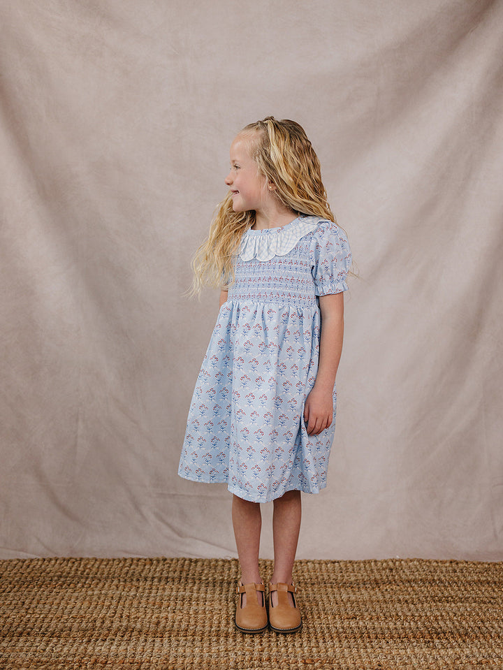 Blue Meadow Dress